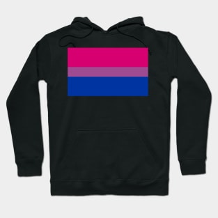 Bi flag Hoodie